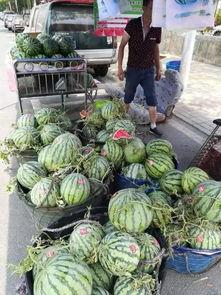 庆阳网红吃瓜事件视频最新